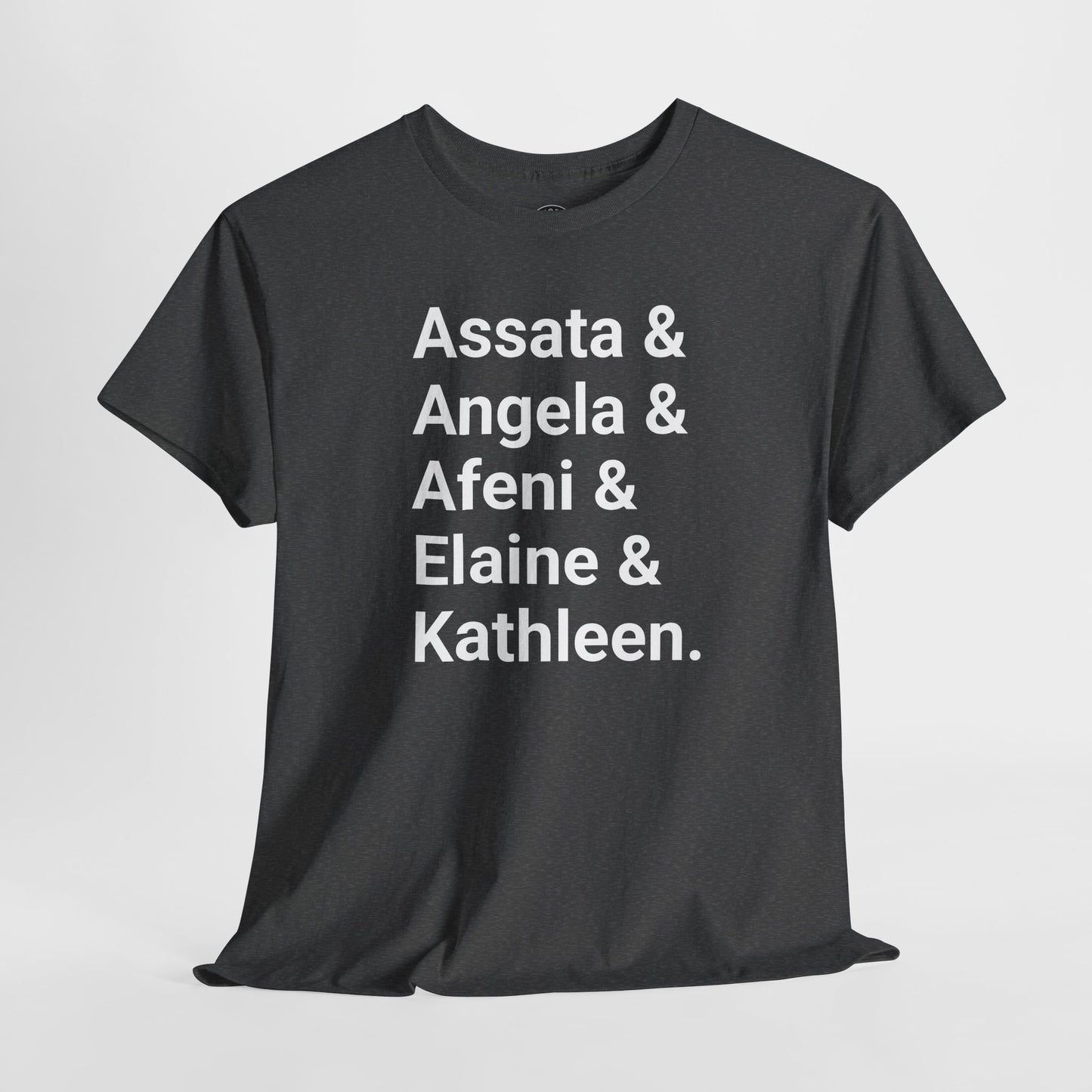 Black Revolutionary Women Shirt - Assata Afeni Angela Elaine Kathleen - Black Panther Feminist T Shirt